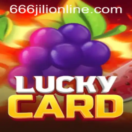 Exploring LuckyCard: A Comprehensive Guide